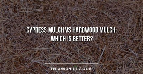 cypress mulch vs hardwood.